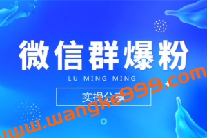 陆明明《微信群精准引流特训营3.0》借助微信群进行引流操作，打造私域流量