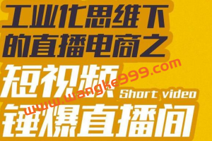 尼克派《工业化思维下的直播电商之短视频锤爆直播间》听话照做执行爆单