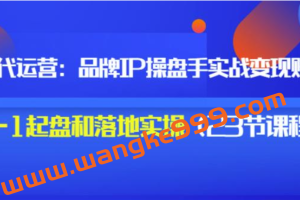 秒懂代运营《品牌IP操盘手实战赚钱》0-1起盘和落地实操