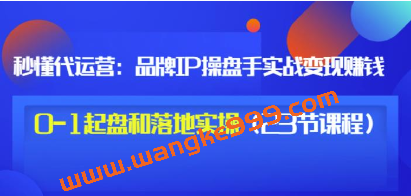 秒懂代运营《品牌IP操盘手实战赚钱》0-1起盘和落地实操插图