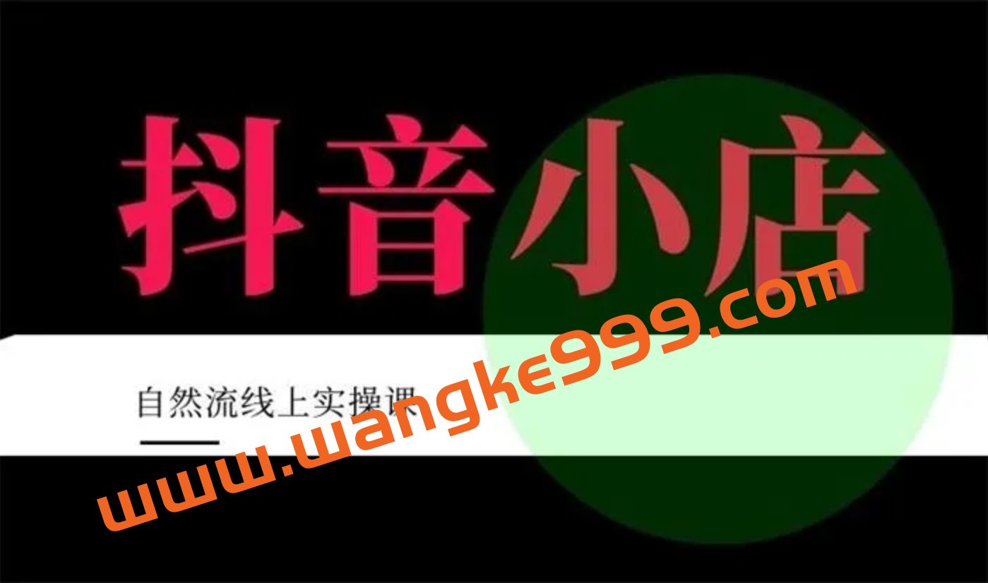 顽石电商·抖店自然流线上实操课【2022版】，从零教你做抖音小店插图