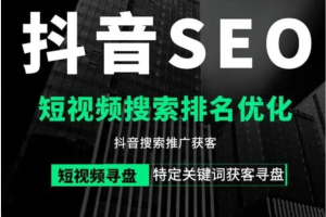 抖音seo视频排名优化：零基础短视频搜索引擎排名系列课