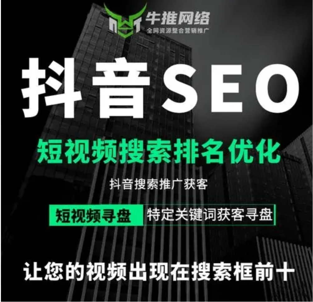 抖音seo视频排名优化：零基础短视频搜索引擎排名系列课插图