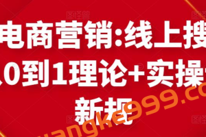 跨境电商营销:线上搜索营销从0到1理论+实操讲解，从0到1