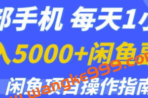 《月入5000+的闲鱼副业项目操作指南》一部手机，每天1小时