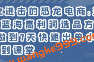 《淘宝小众蓝海高利润选品方法论》做到7天快速出单小白也能做到