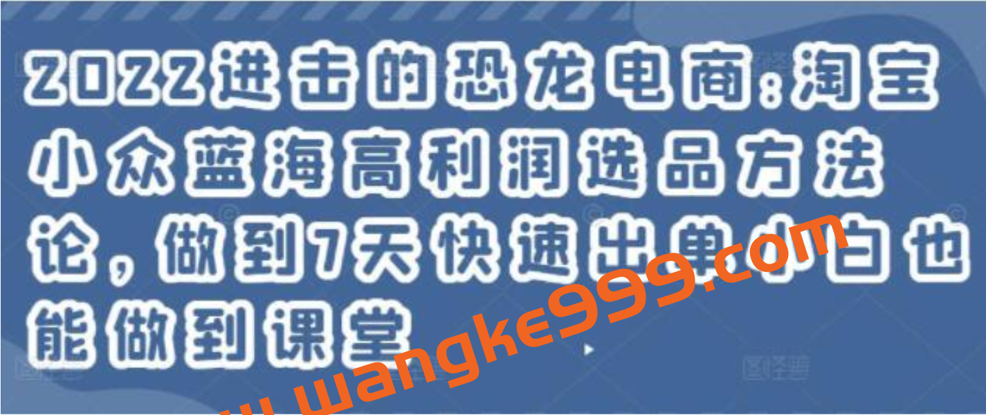 《淘宝小众蓝海高利润选品方法论》做到7天快速出单小白也能做到插图