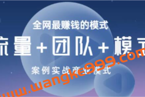 王冲《商业模式+流量系统+团队管理》全网最赚钱的模式