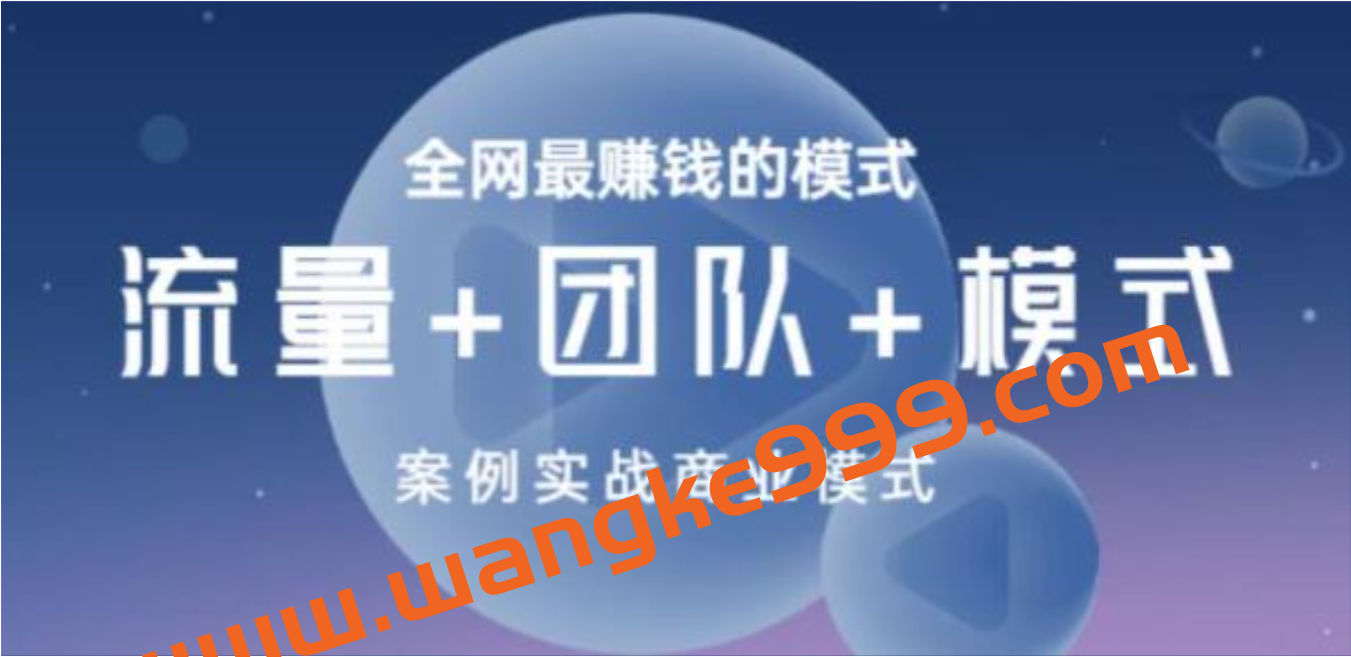 王冲《商业模式+流量系统+团队管理》全网最赚钱的模式插图