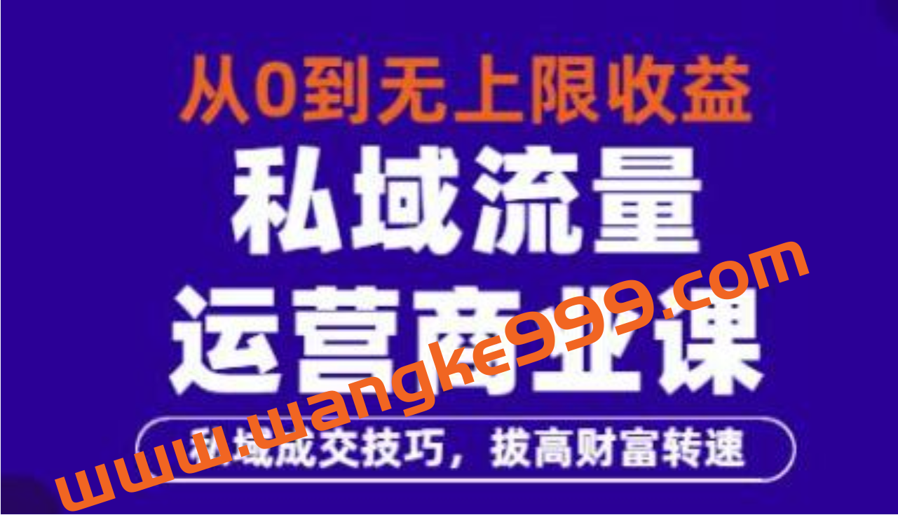 从0到无上限收益的《私域流量运营商业课》私域成交技巧，拔高财富转速插图