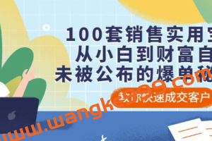 100套销售实用宝典：从小白到财富自由，未被公布的爆单秘密