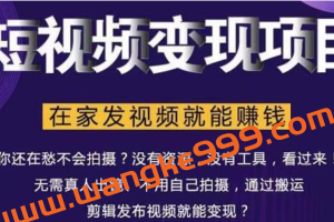 随风·短视频变现项目：从0到1教你打造爆款短视频变现，在家发视频就能赚钱