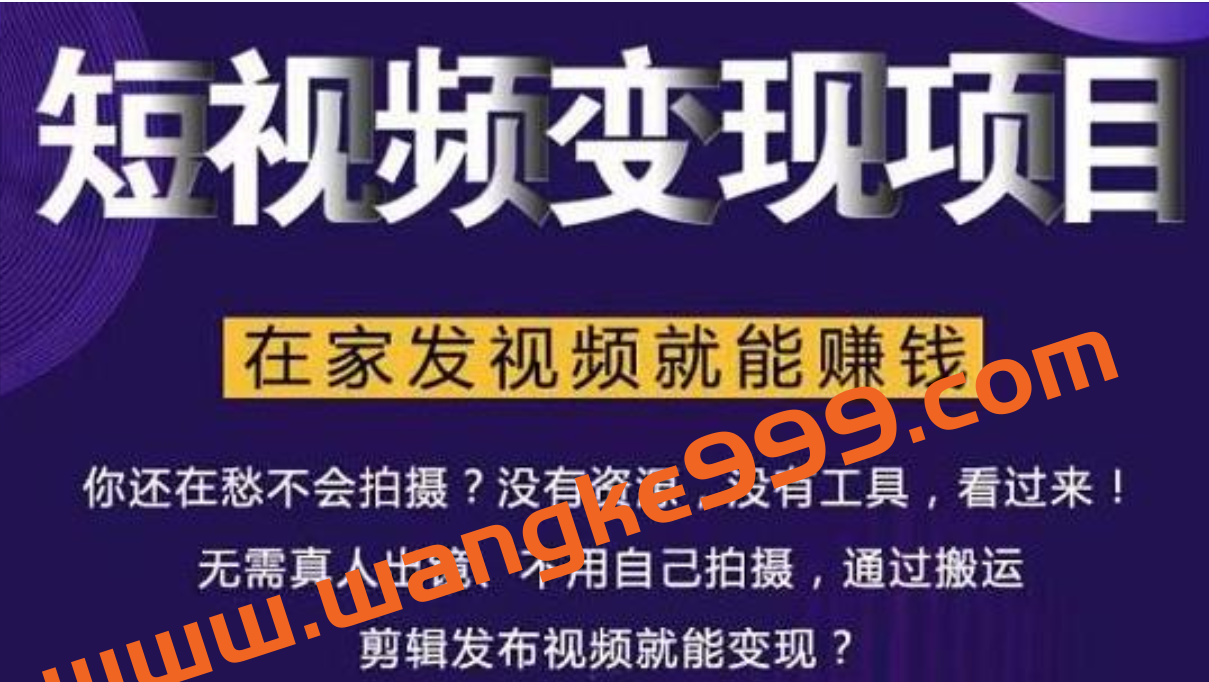 随风·短视频变现项目：从0到1教你打造爆款短视频变现，在家发视频就能赚钱插图