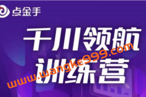 点金手《千川领航训练营》干川逻辑与算法的剖析与讲解（原价999）