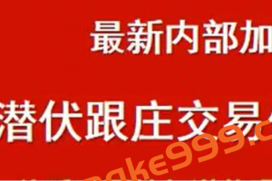 期海《致量潜伏跟庄交易体系》炒股教程视频