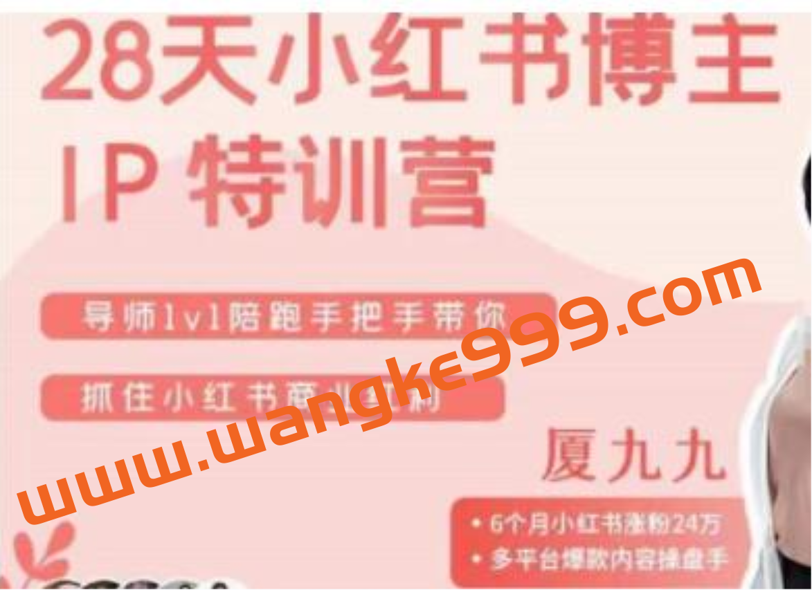 厦九九《28天小红书博主IP特训营》第6期，抓住小红书商业红利插图