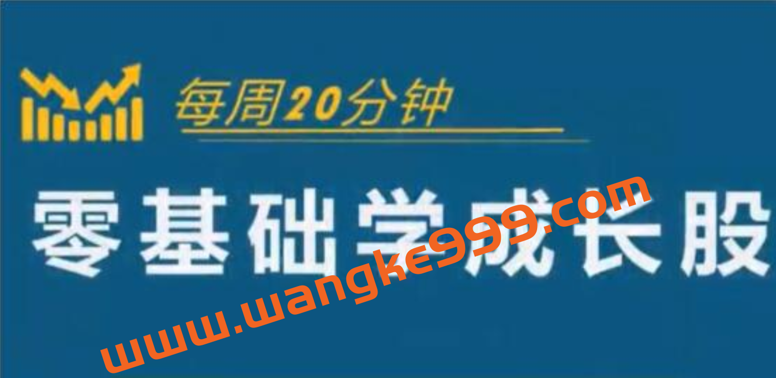 怎样选择成长股《零基础学成长股》股票讲座视频插图