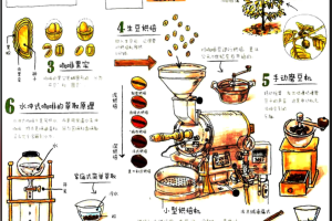 【PDF电子书】石胁智广·你不懂咖啡：有料、有趣、还有范儿的咖啡知识百科