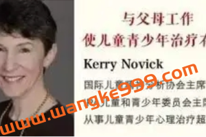 Novick大师讲如何同步与父母工作使儿童青少年治疗有效—从理论到临床实例解析12讲