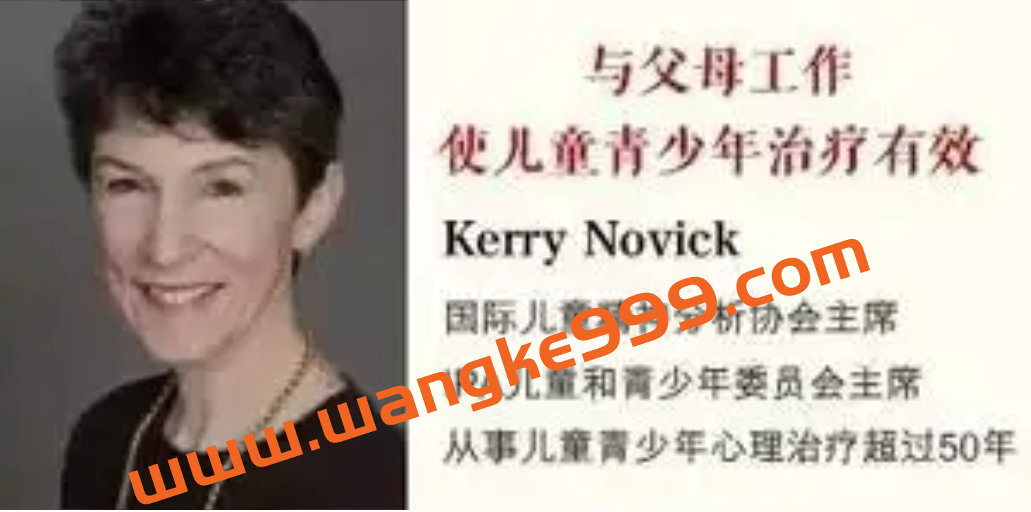 Novick大师讲如何同步与父母工作使儿童青少年治疗有效—从理论到临床实例解析12讲插图