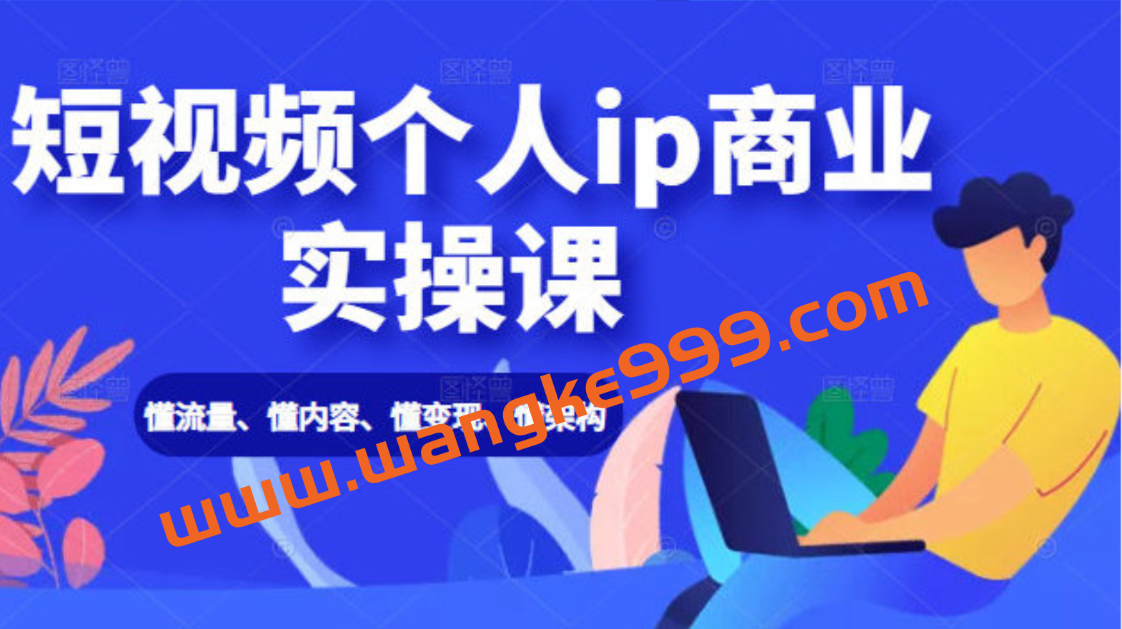 短视频个人ip商业实操课： 懂流量、懂内容、懂变现、懂架构（价值999元）插图