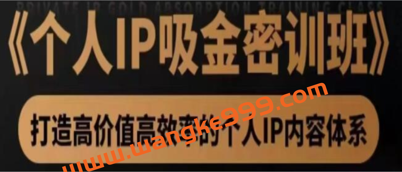 桔子会《个人IP吸金密训班》打造高价值高效率的个人IP内容体系（价值12800元）插图