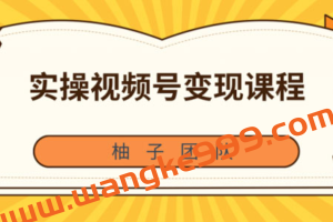 柚子团队内部课程：实操视频号变现课程，助你2021抓住赚钱风口【视频课程】