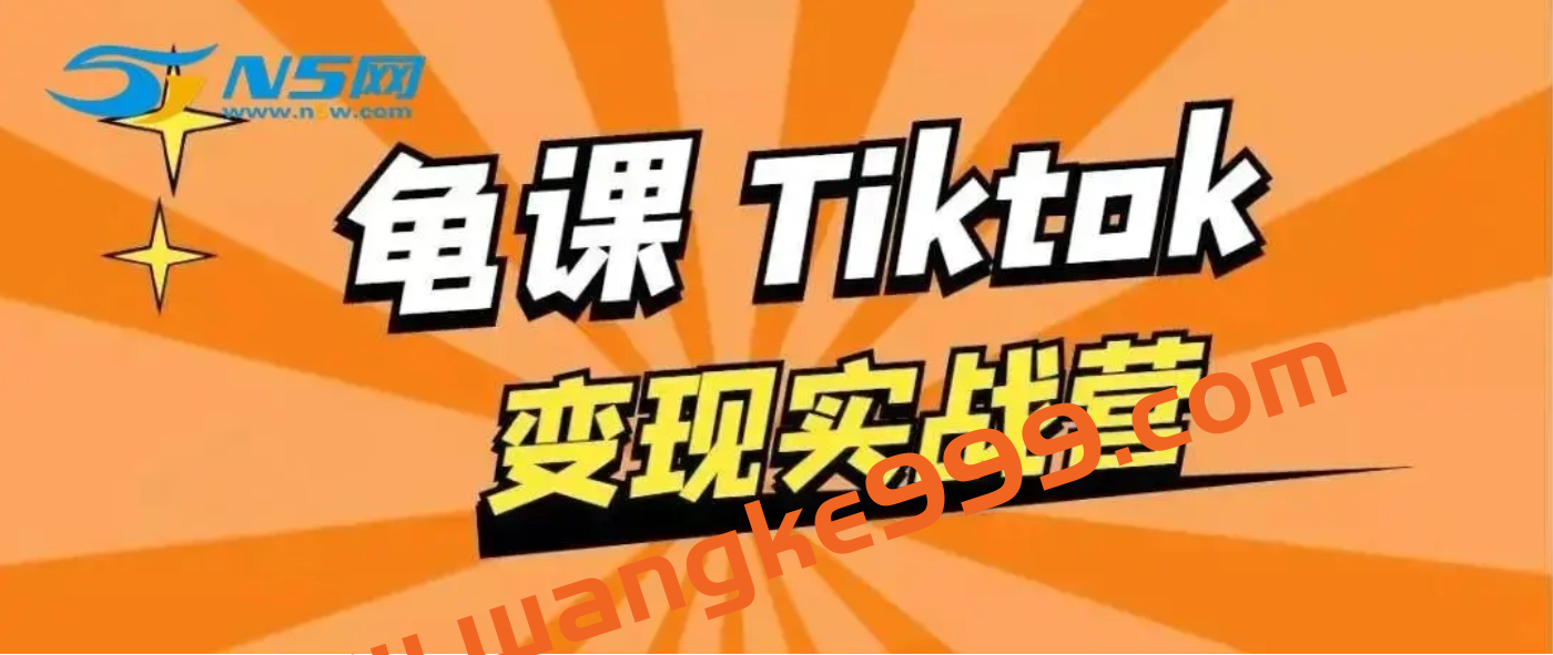 龟课·TikTok变现实战训练营线上第1期：多种变现模式，探索更多商业模式插图