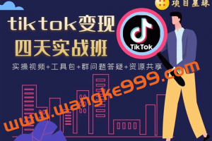 tiktok变现四天实战班：连怼技术+矩阵玩法赚美金价值998元(实操视频)