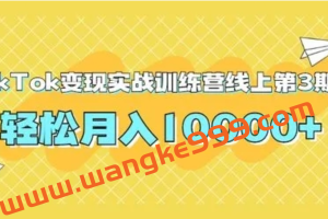 龟课·Tik Tok变现实战训练营3期，轻松月入10000+