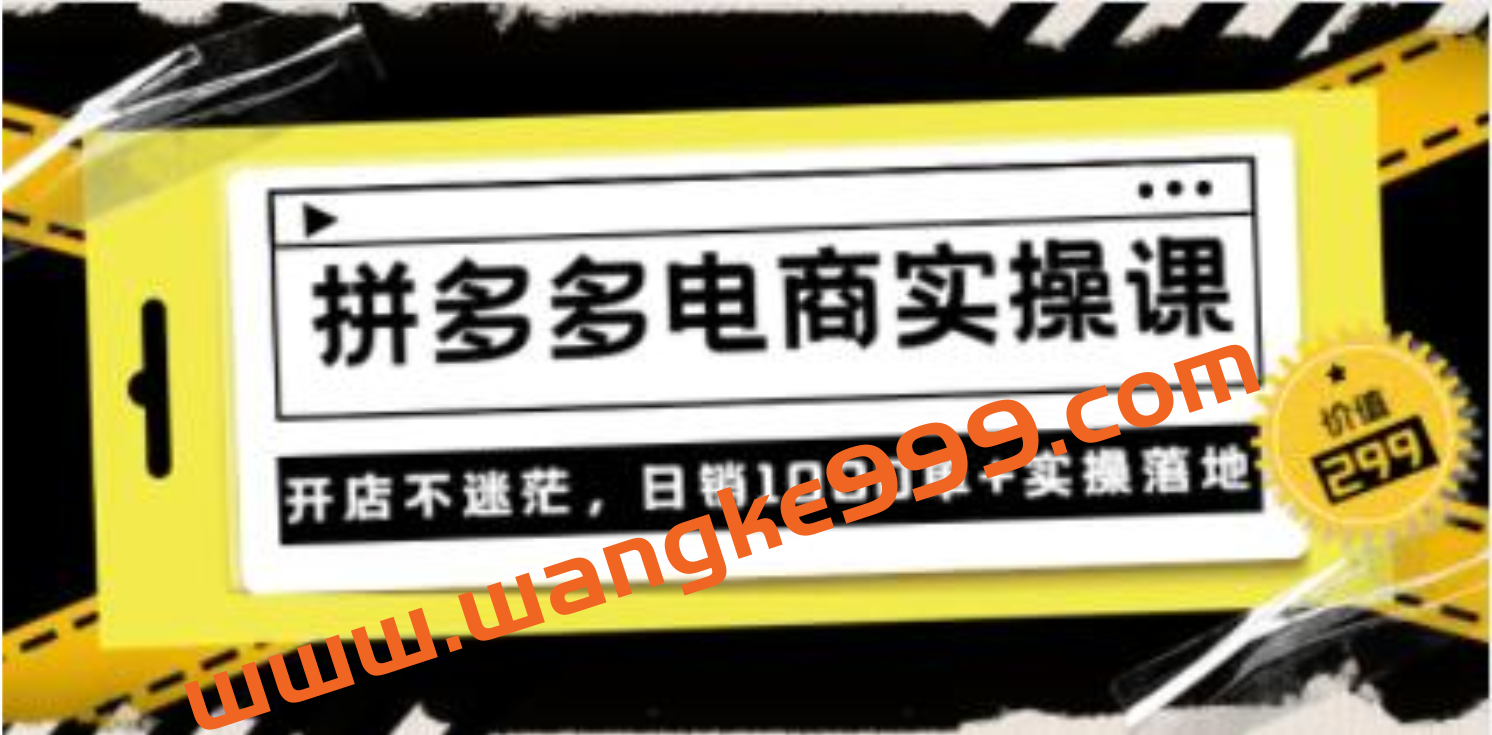 《拼多多电商实操课》开店不迷茫，日销1000单+实操落地插图