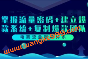 大圣电商《电商流量起爆体系》掌握流量密码+建立爆款系统+复制爆款团队