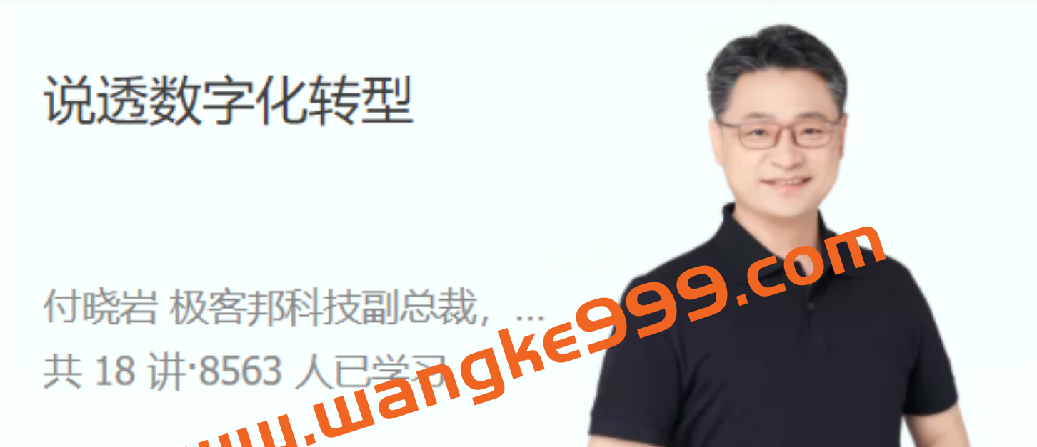 付晓岩《说透数字化转型》从认知到实战，找准数字化转型路径插图