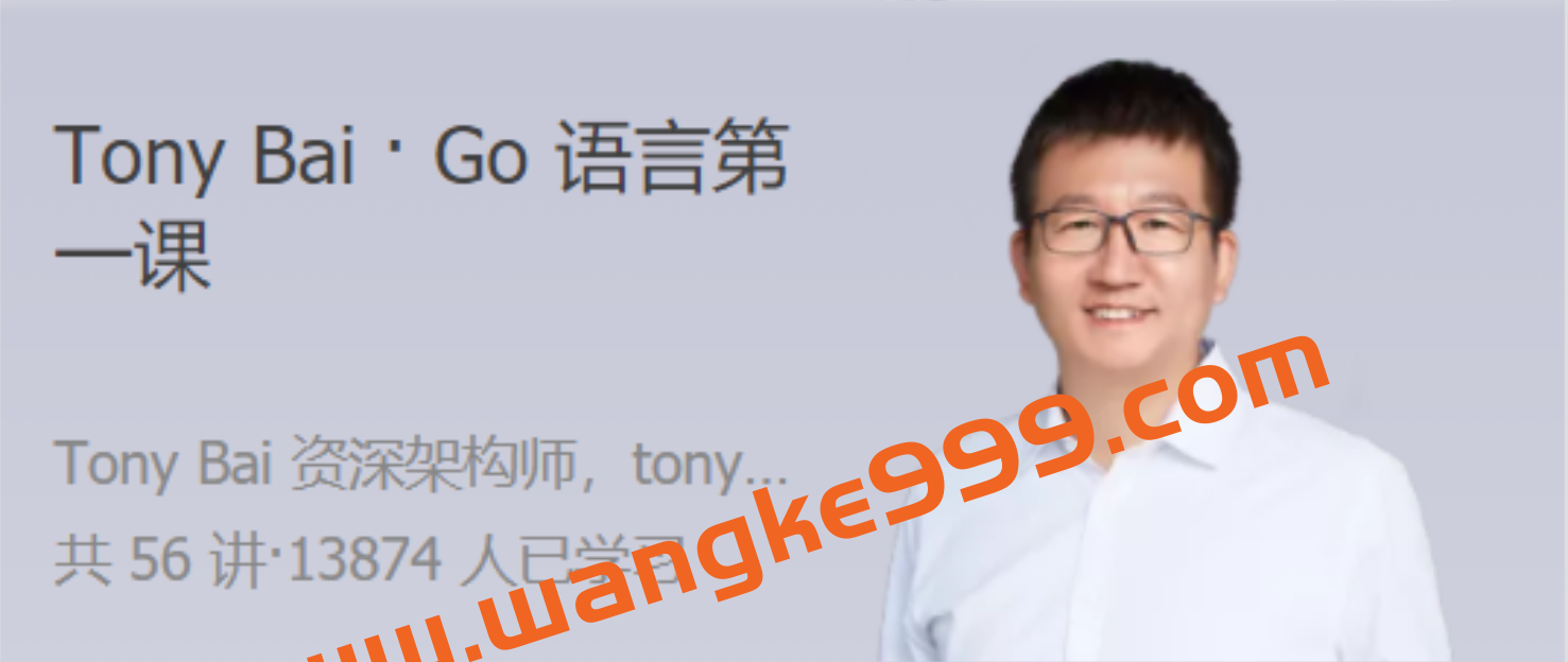 Tony Bai · Go语言第一课 大师带路，快速上手 Go 语言插图