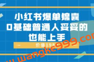 《小红书爆单锦囊》0基础普通人妥妥的也能上手价值1980