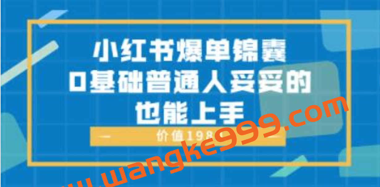 《小红书爆单锦囊》0基础普通人妥妥的也能上手价值1980插图