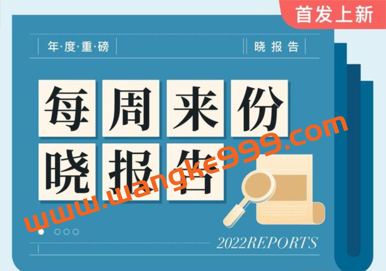 2022年-每周来份晓报告插图