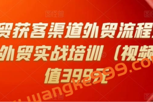 Mia外贸获客渠道外贸流程外贸英语洽谈外贸实战培训（视频课）价值399元