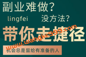 领飞老师：副业难做，没方法，带你走捷径，套公式创业运营，一万个项目就是一个