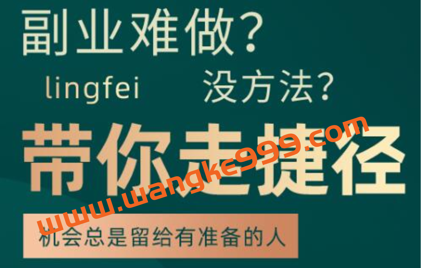 领飞老师：副业难做，没方法，带你走捷径，套公式创业运营，一万个项目就是一个插图