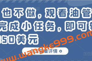 什么也不做，观看油管视频，完成小任务，即可轻松赚150美元