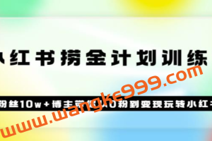 《小红书捞金计划训练营》粉丝10w+博主带你从0粉到变现玩转小红书