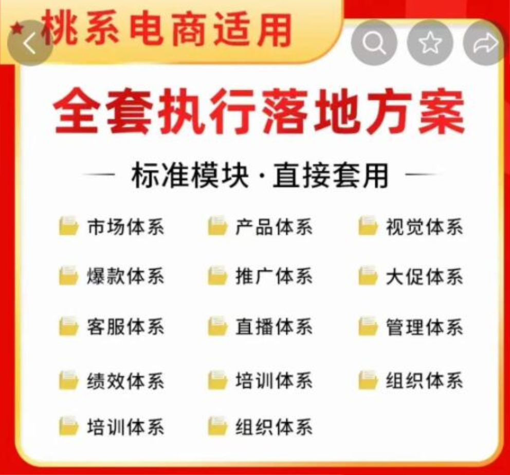 《电商企业经营管理工具》全套执行落地方案 标准模块·直接套用插图