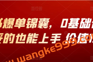 小红书爆单锦囊，0基础普通人妥妥的也能上手 价值1980