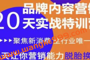 老王商学院 《品牌内容营销实战特训营》20天让你营销能力脱胎换骨