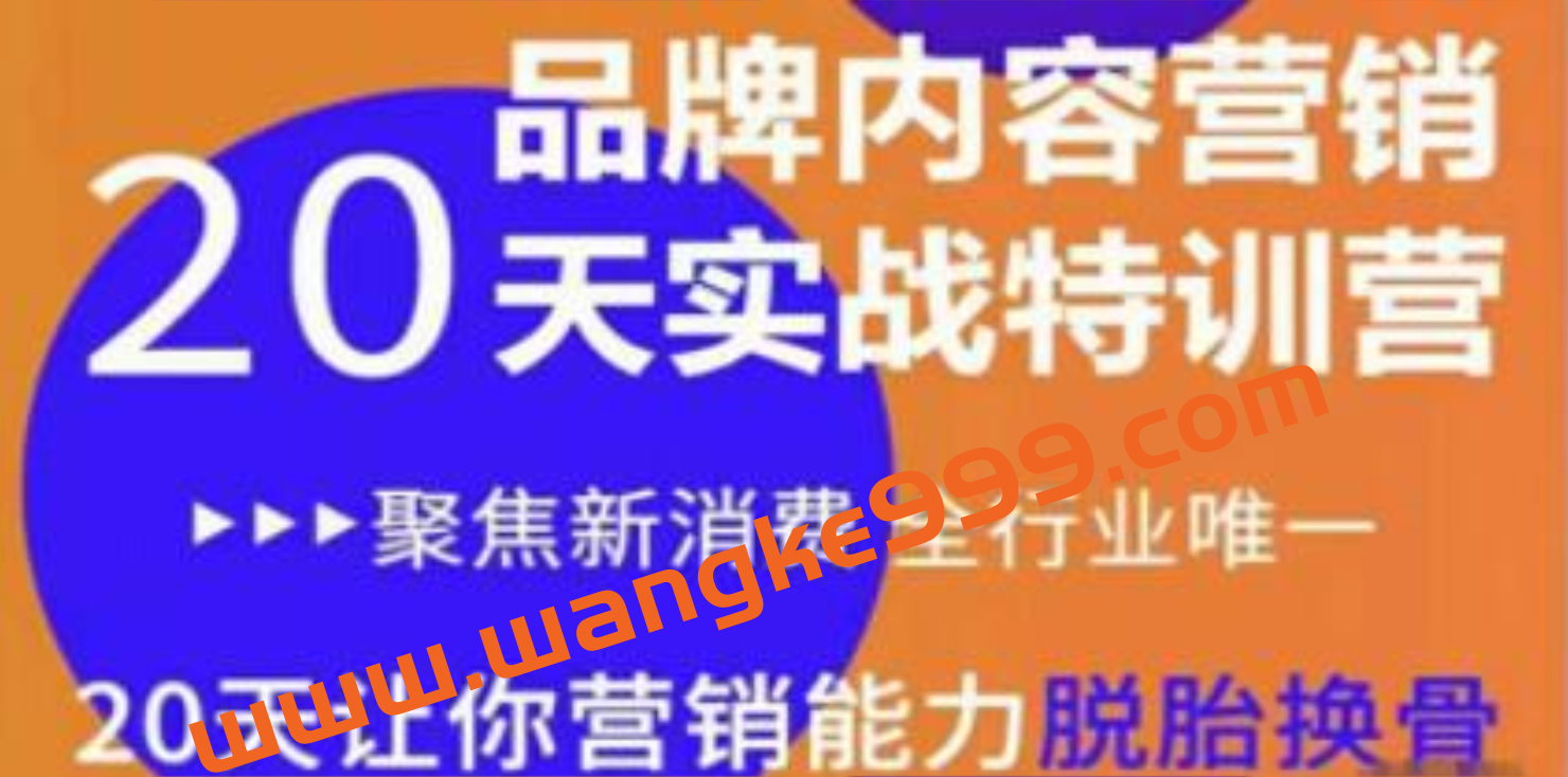 老王商学院 《品牌内容营销实战特训营》20天让你营销能力脱胎换骨插图