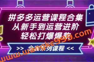 拼多多运营课程合集：从新手到运营进阶，轻松打爆爆款（全套系统课程）