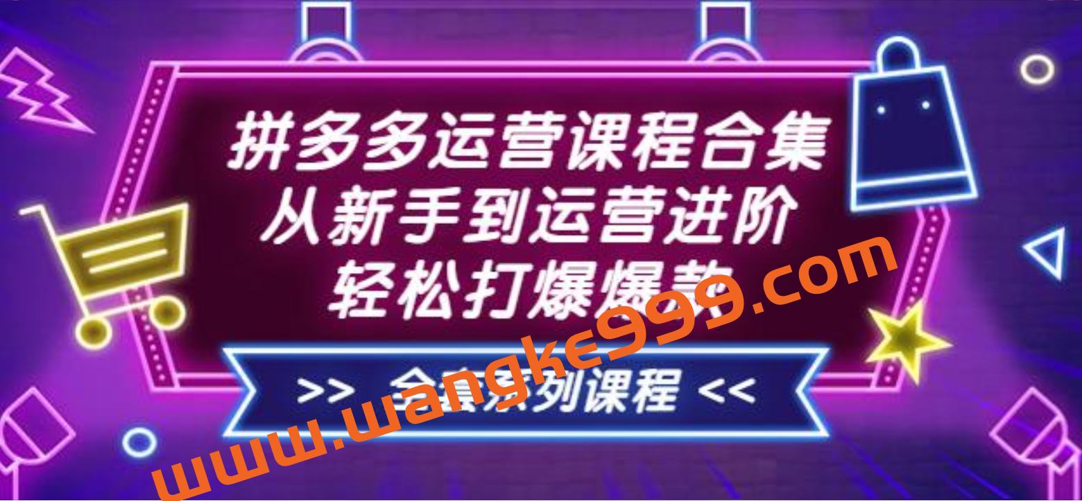 拼多多运营课程合集：从新手到运营进阶，轻松打爆爆款（全套系统课程）插图