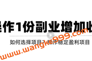 新手如何通过操作副业增加收入，从项目选择到玩法分享！【视频教程】