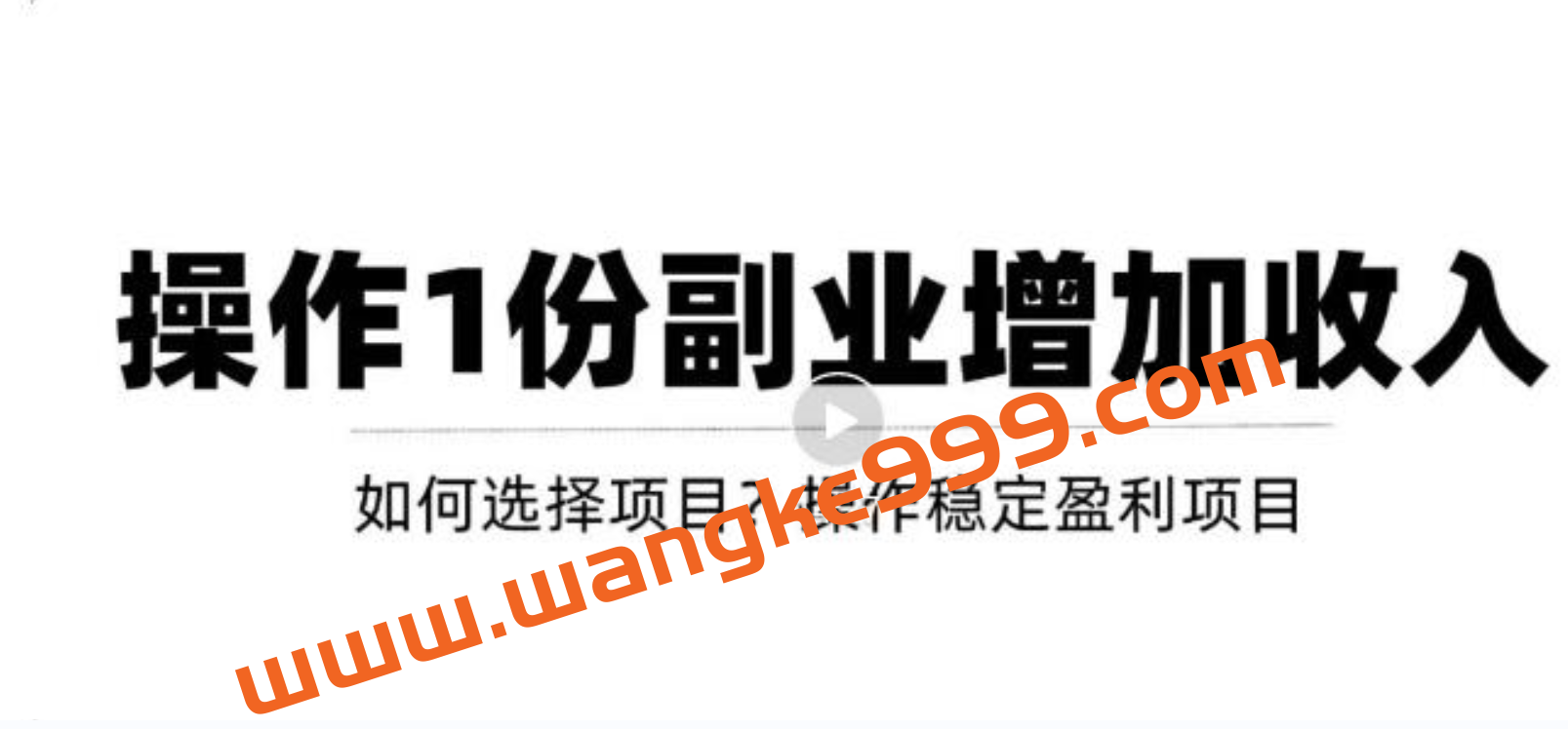 新手如何通过操作副业增加收入，从项目选择到玩法分享！【视频教程】插图